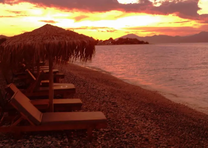 Casa de Férias Summer Dreams Digeliotika